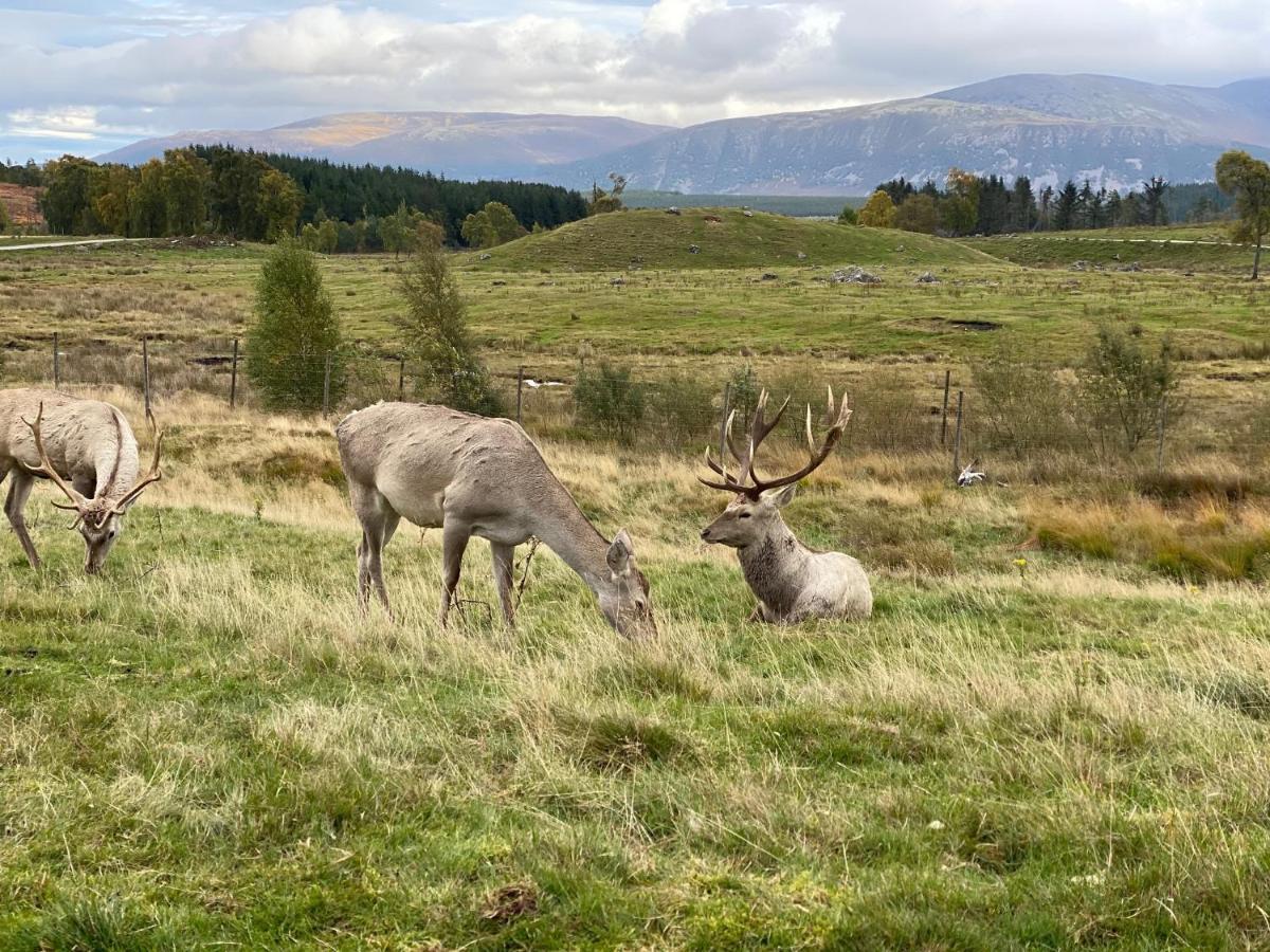 Hotel Ardenbeg Grantown-on-Spey Zewnętrze zdjęcie